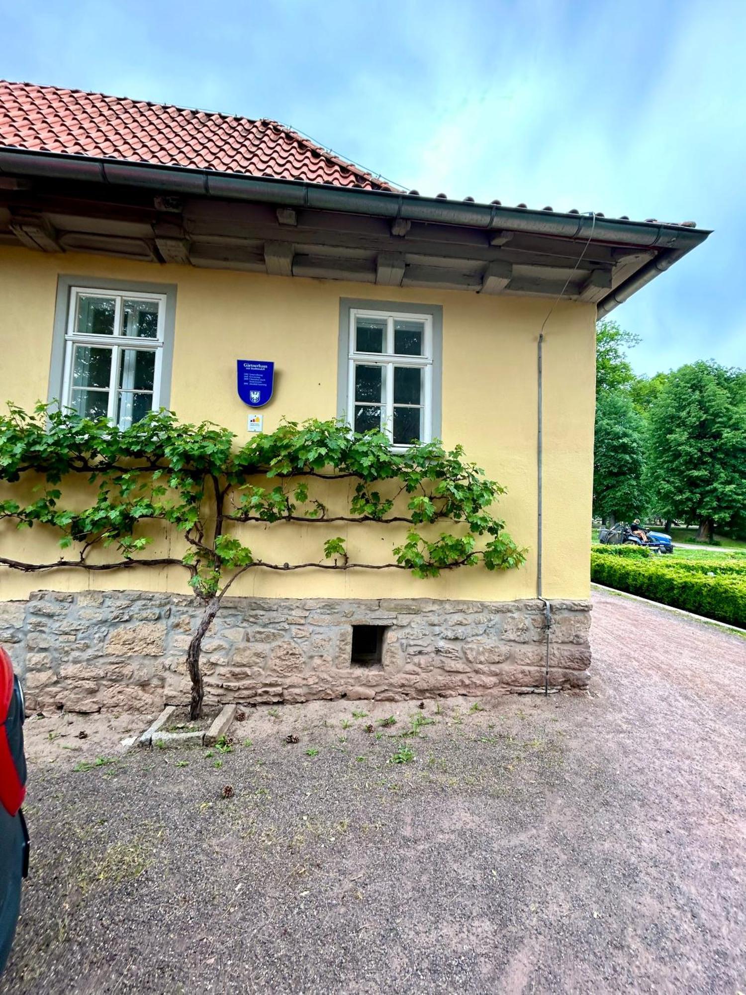 Ferienwohnung Happyhome Bahnhofnah Gemuetlich Familiaer Arnstadt Eksteriør bilde